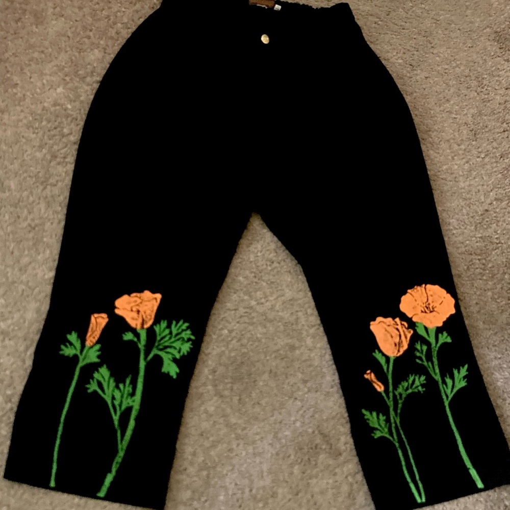 Big Bud Press Western Pants in Poppy Print Size 1XL